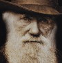 „I think” Charles Darwin | Bluza męska z kapturem
